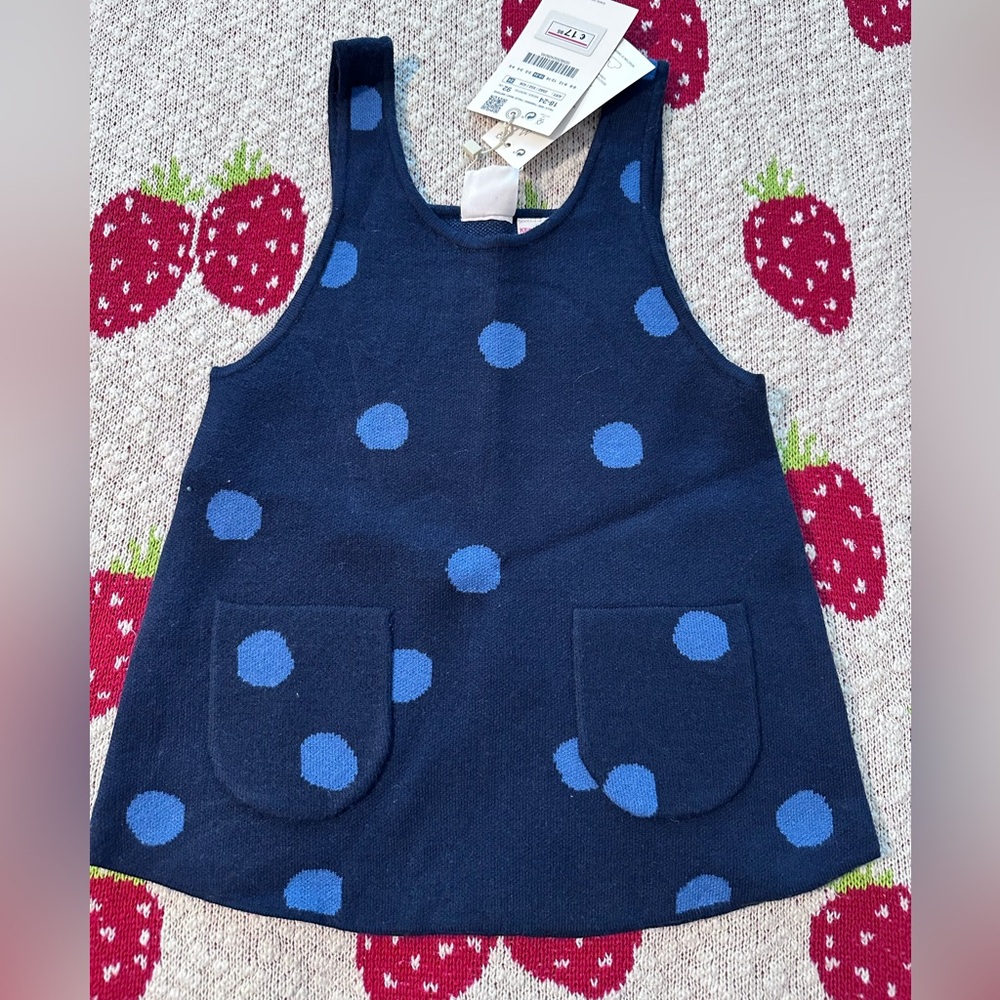 Zara Blue Polka Dot Dress